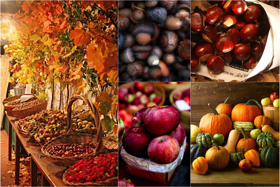 Resultado de imagen de fotos de otoño en pinterest